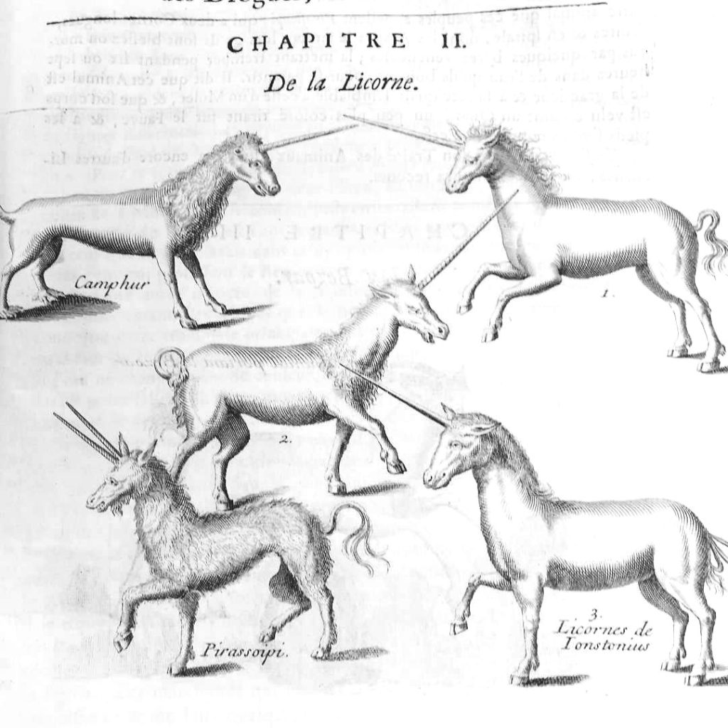 surpyjama licorne 4 ans