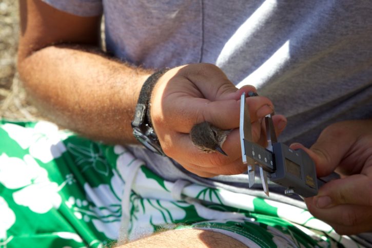 tailleur homme sur mesure paris